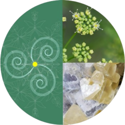 Herbs and Crystals offer keys for personal growth